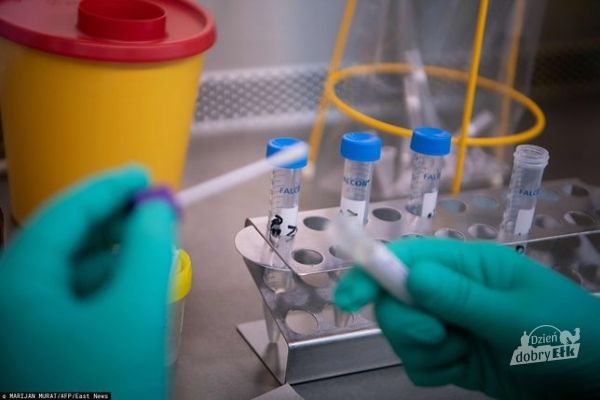 Potwierdzono pierwszy przypadek koronawirusa w Polsce